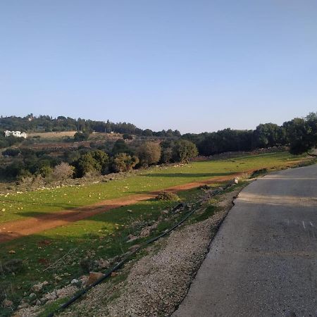 Benichuta Mitzpe Hila Exterior foto