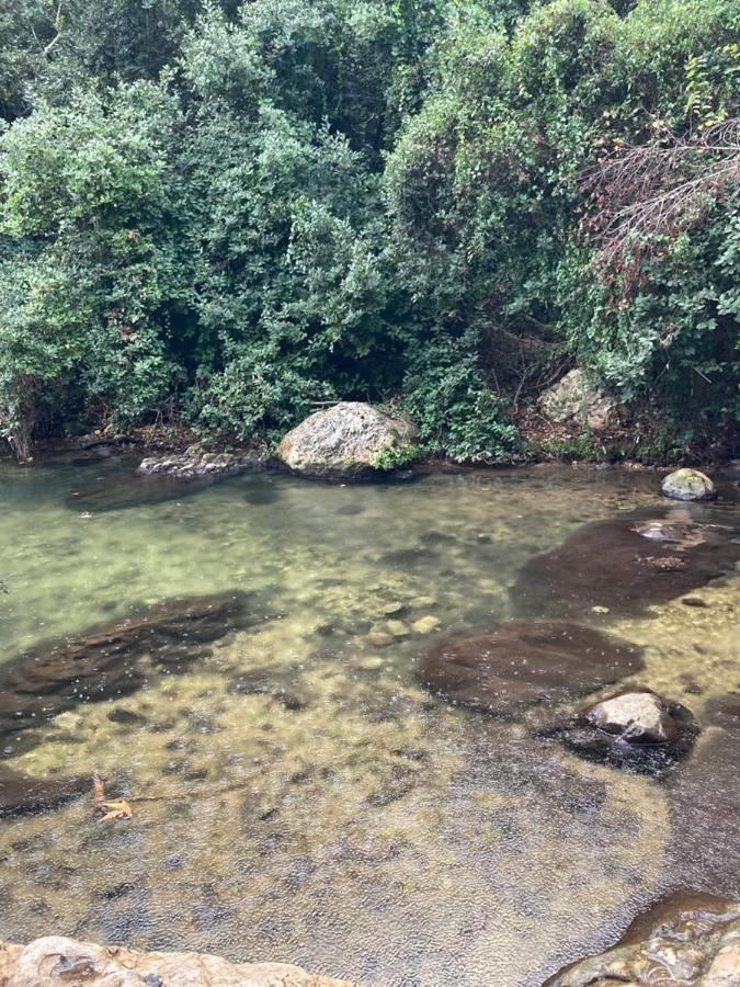 Benichuta Mitzpe Hila Exterior foto