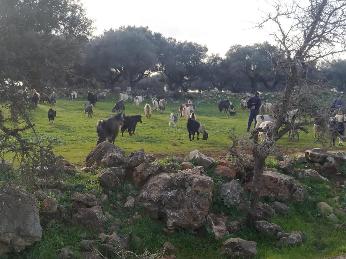 Benichuta Mitzpe Hila Exterior foto